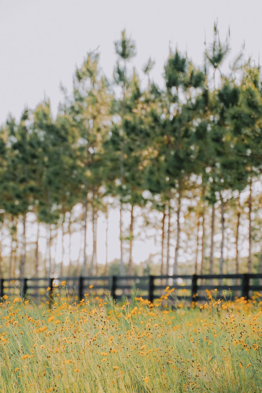 Recovery beyond separation