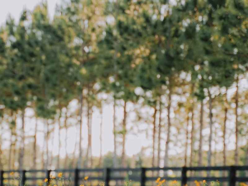 Recovery beyond separation